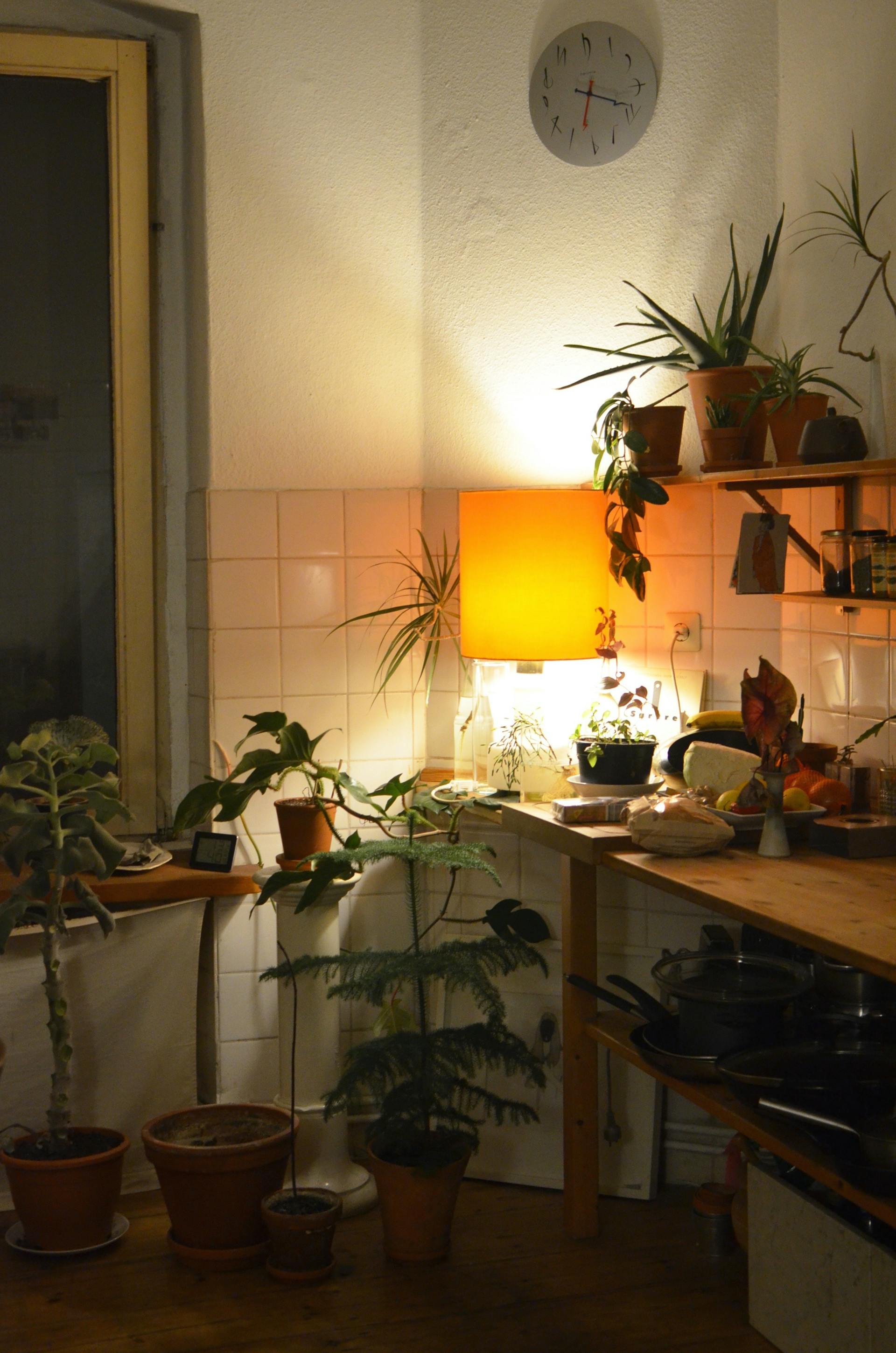 Inside a cozy kitchen | Source: Pexels