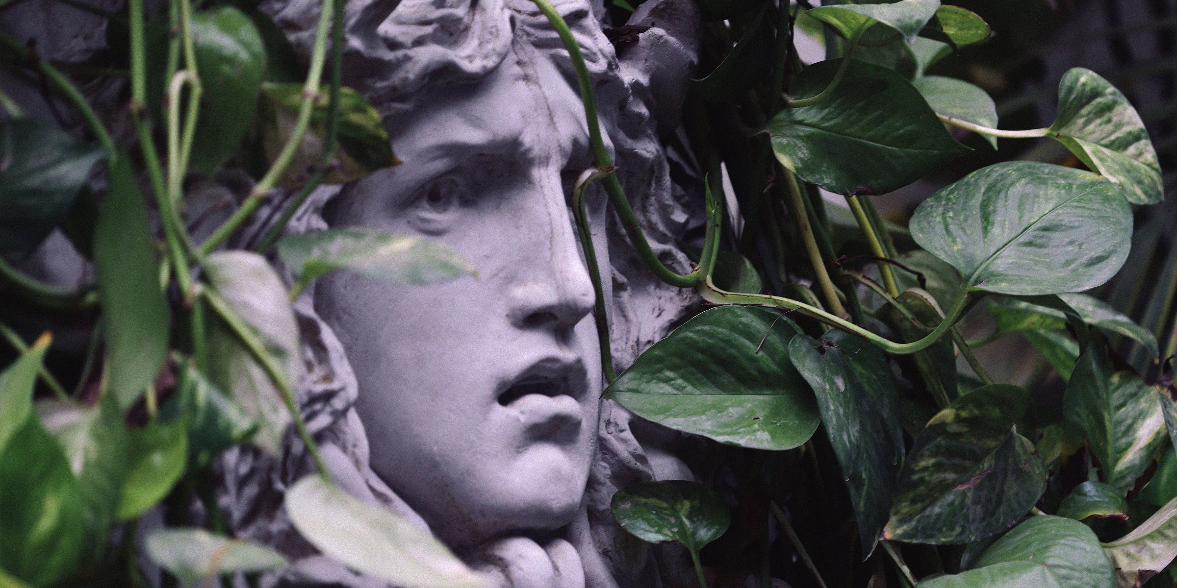 Unsplash | A statue of mythological figure Medusa among leaves 