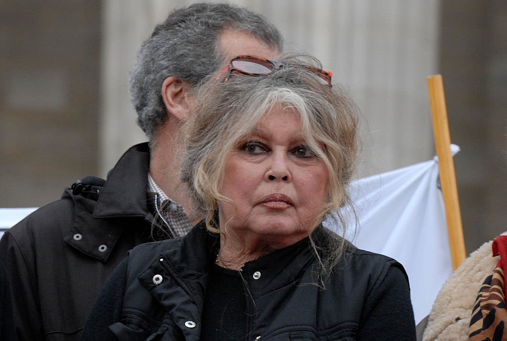 Brigitte Bardot fait une brève apparition lors d'une manifestation sur les droits des animaux. | Photo : Getty Images