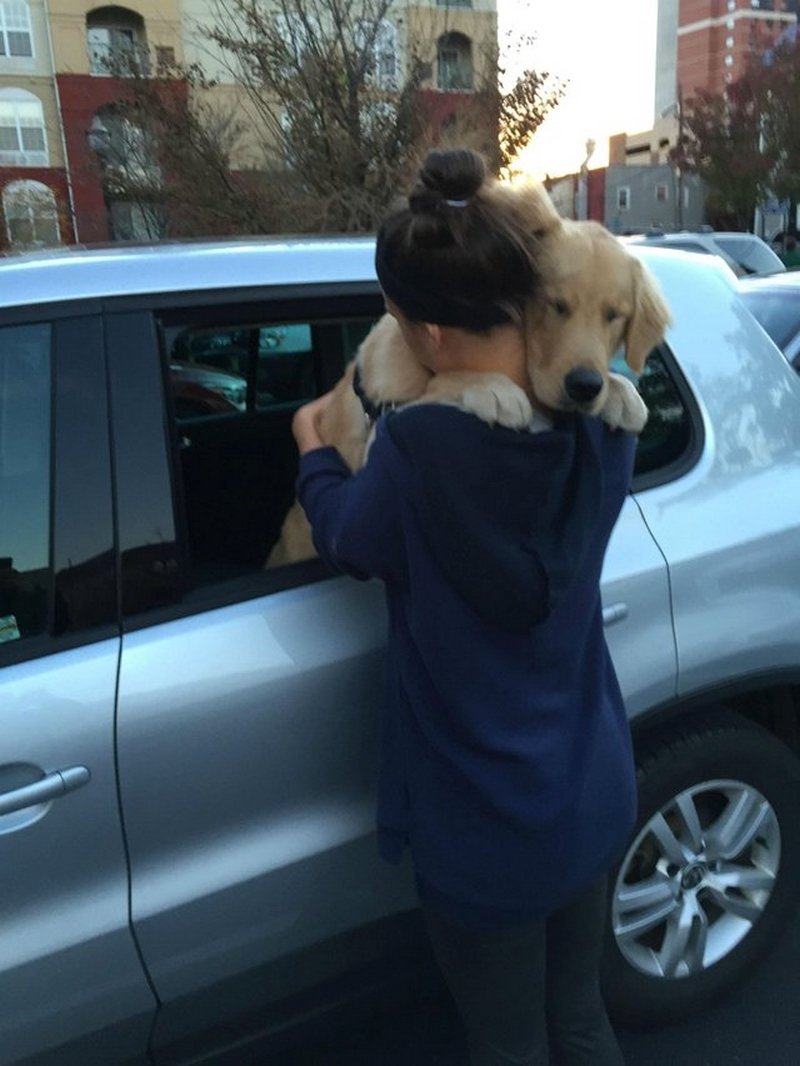 Te dan el abrazo justo y necesario / Imagen tomada de: Reddit Te dan el abrazo justo y necesario / Imagen tomada de: Reddit