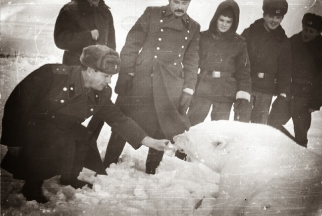 Image credits: Rare Historical Photos Image credits: Rare Historical Photos