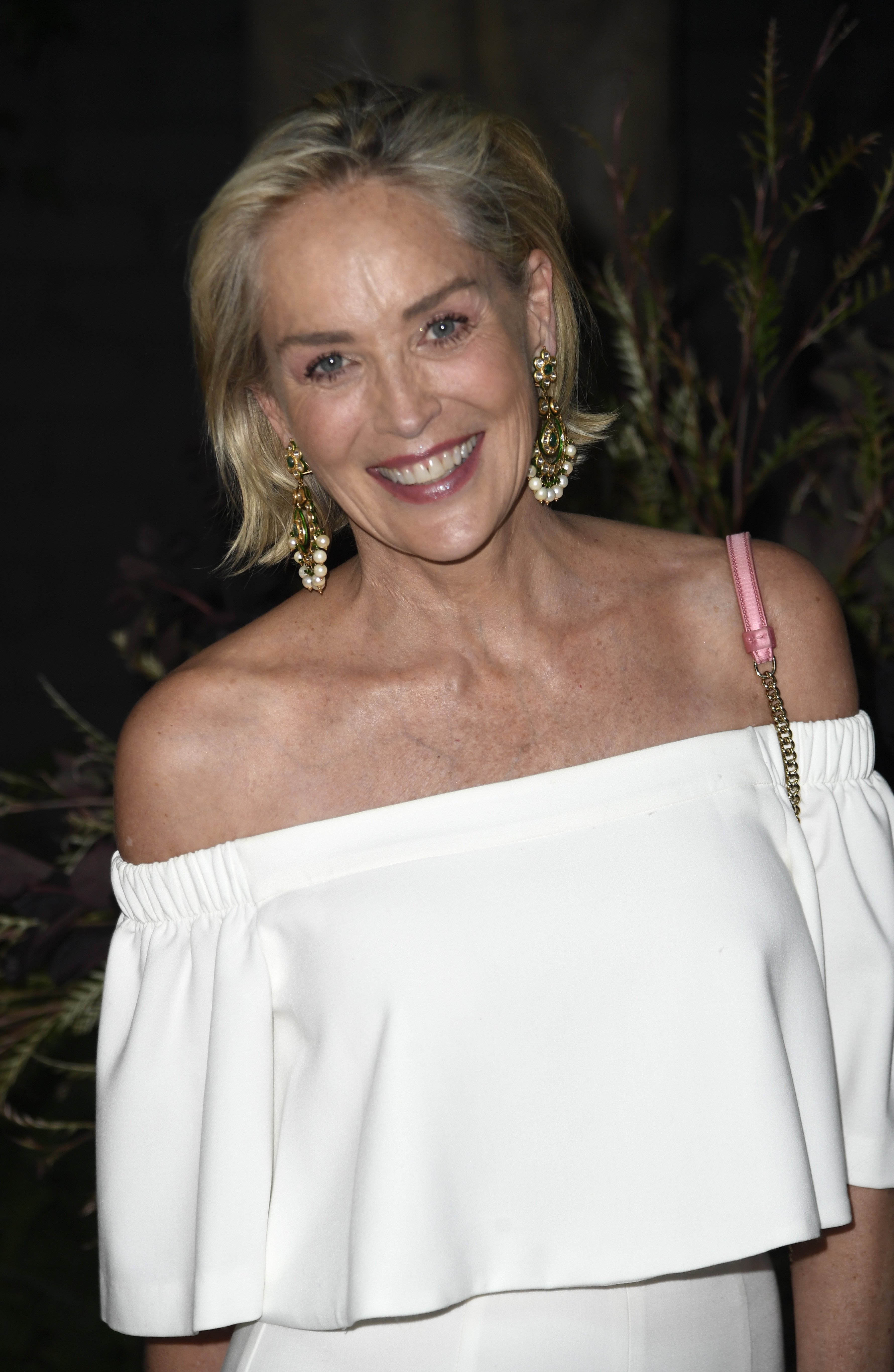 Sharon Stone assiste au 17e anniversaire du gala du suffrage féminin organisé par la Brain Health Initiative à Eric Buterbaugh Los Angeles le 17 juillet 2019 à Los Angeles, en Californie. | Source: Getty Images.