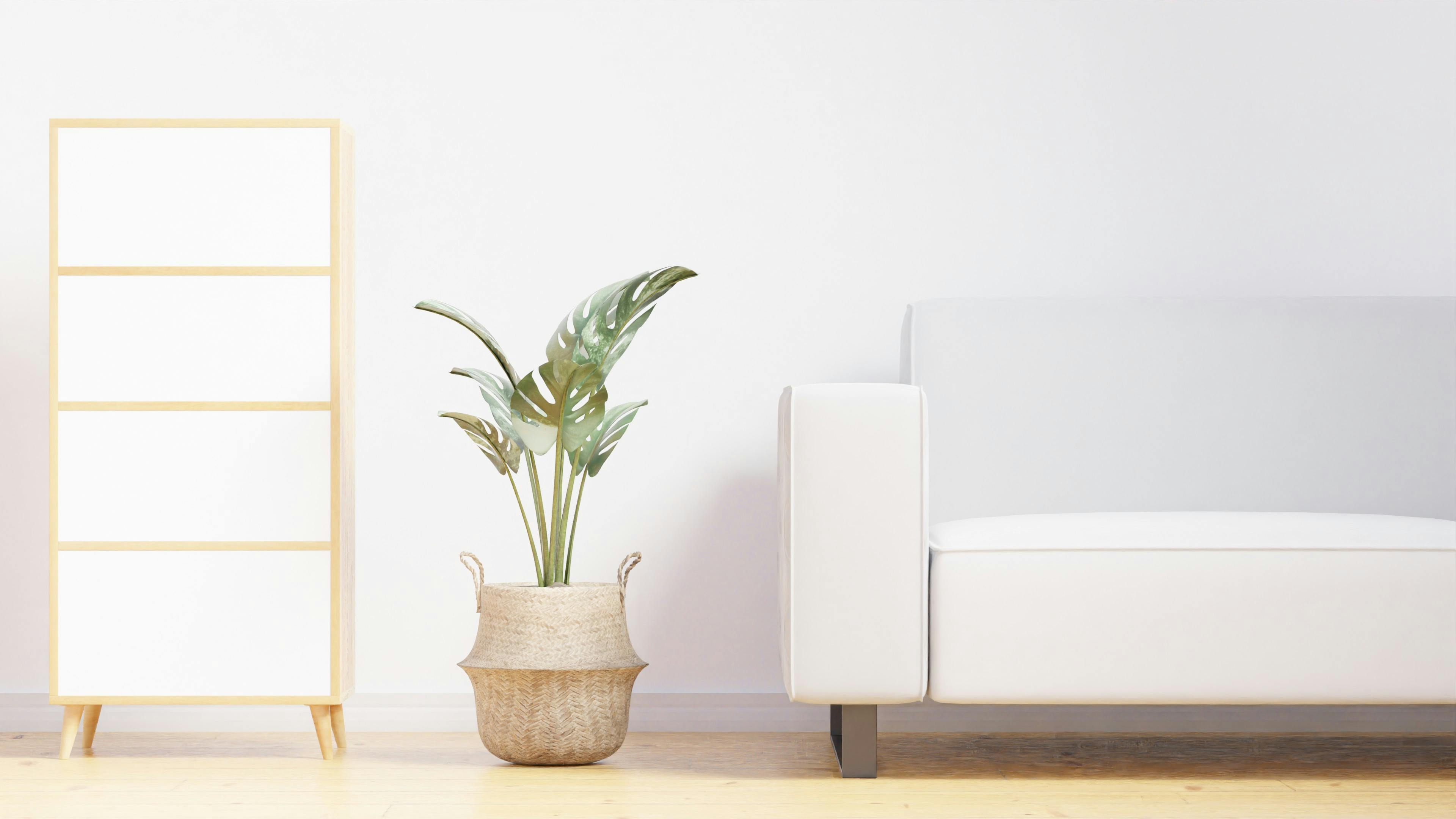 A clean couch | Source: Pexels