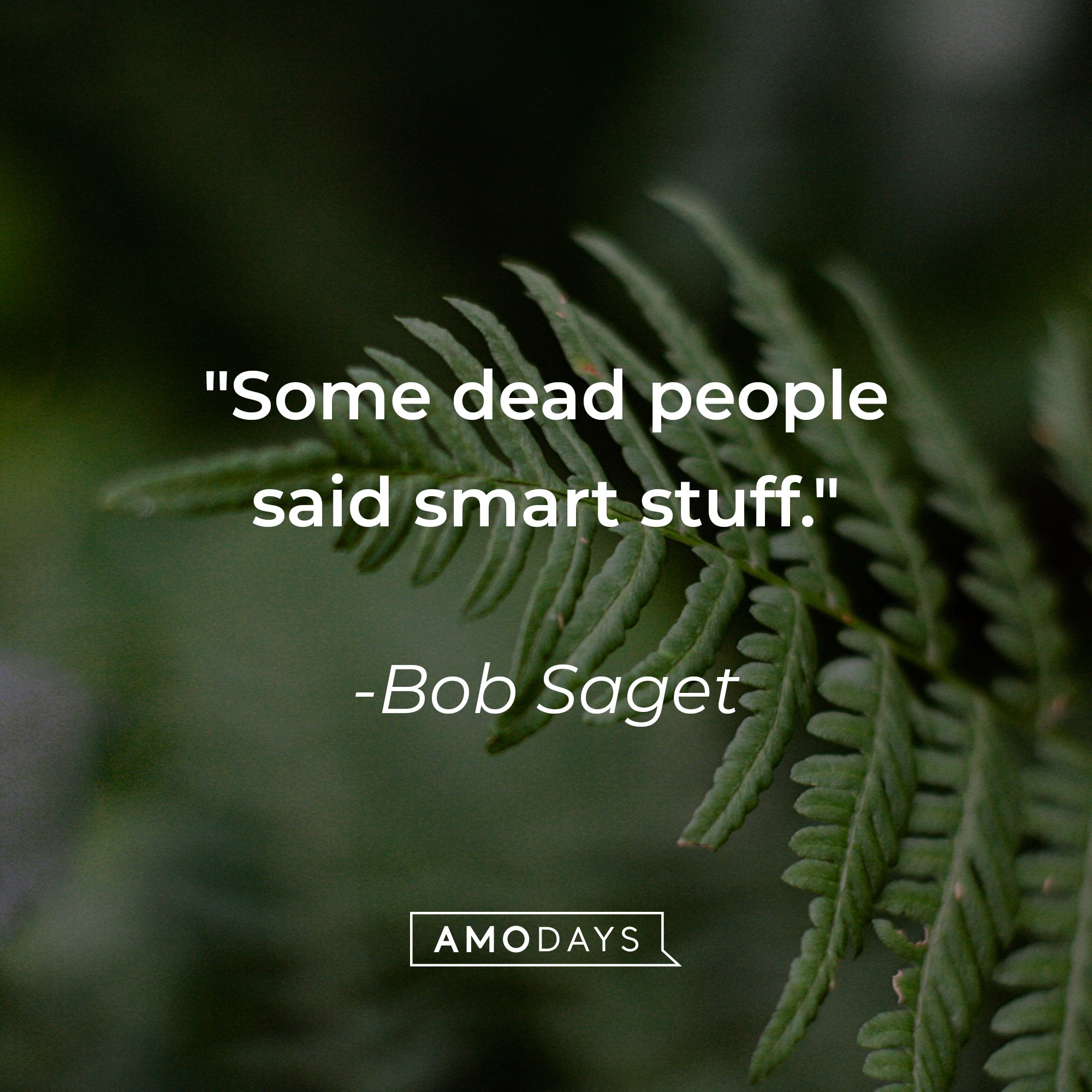  Bob Saget’s quote: "Some dead people said smart stuff." | Image: AmoDays