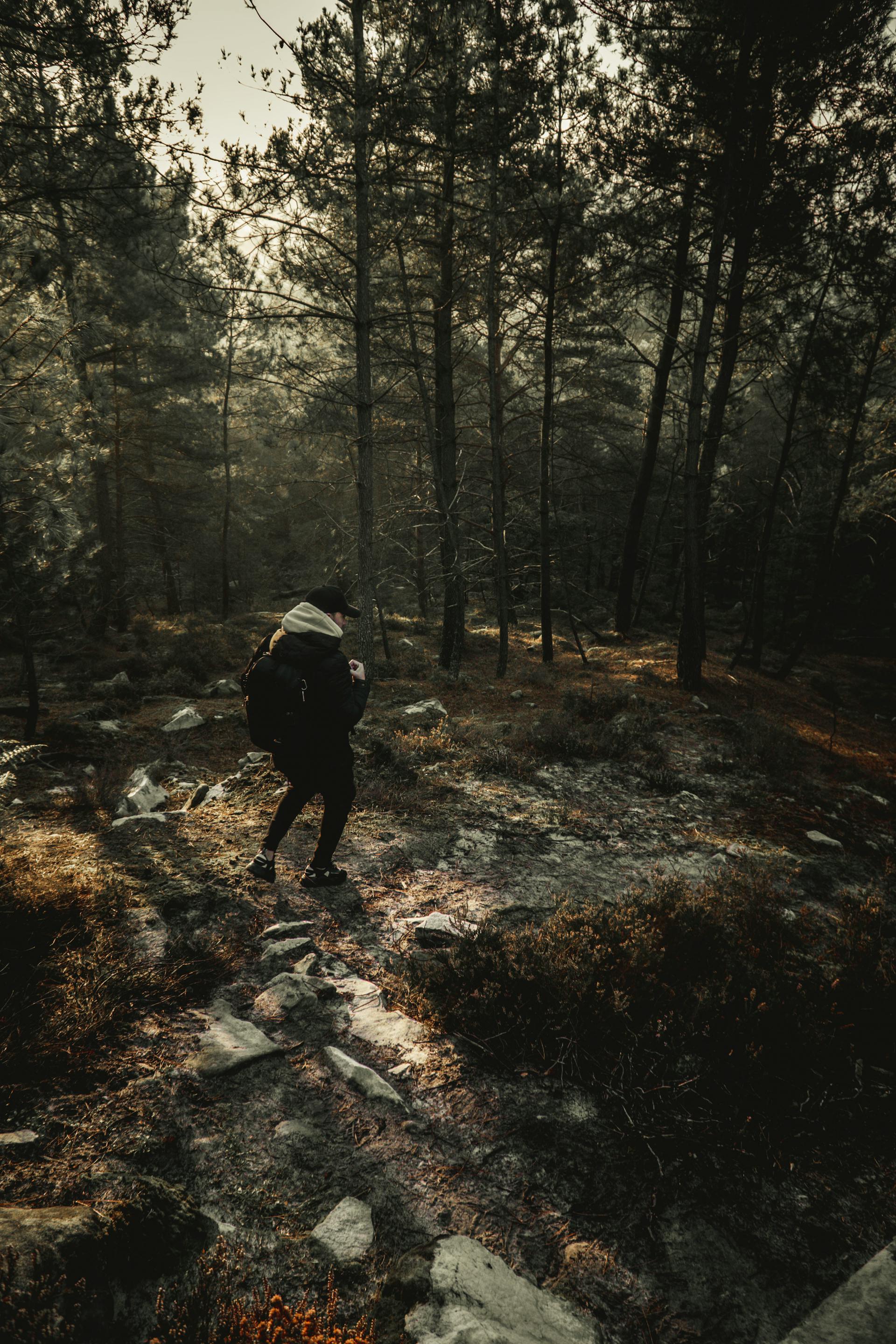 A man hiking | Source: Pexels