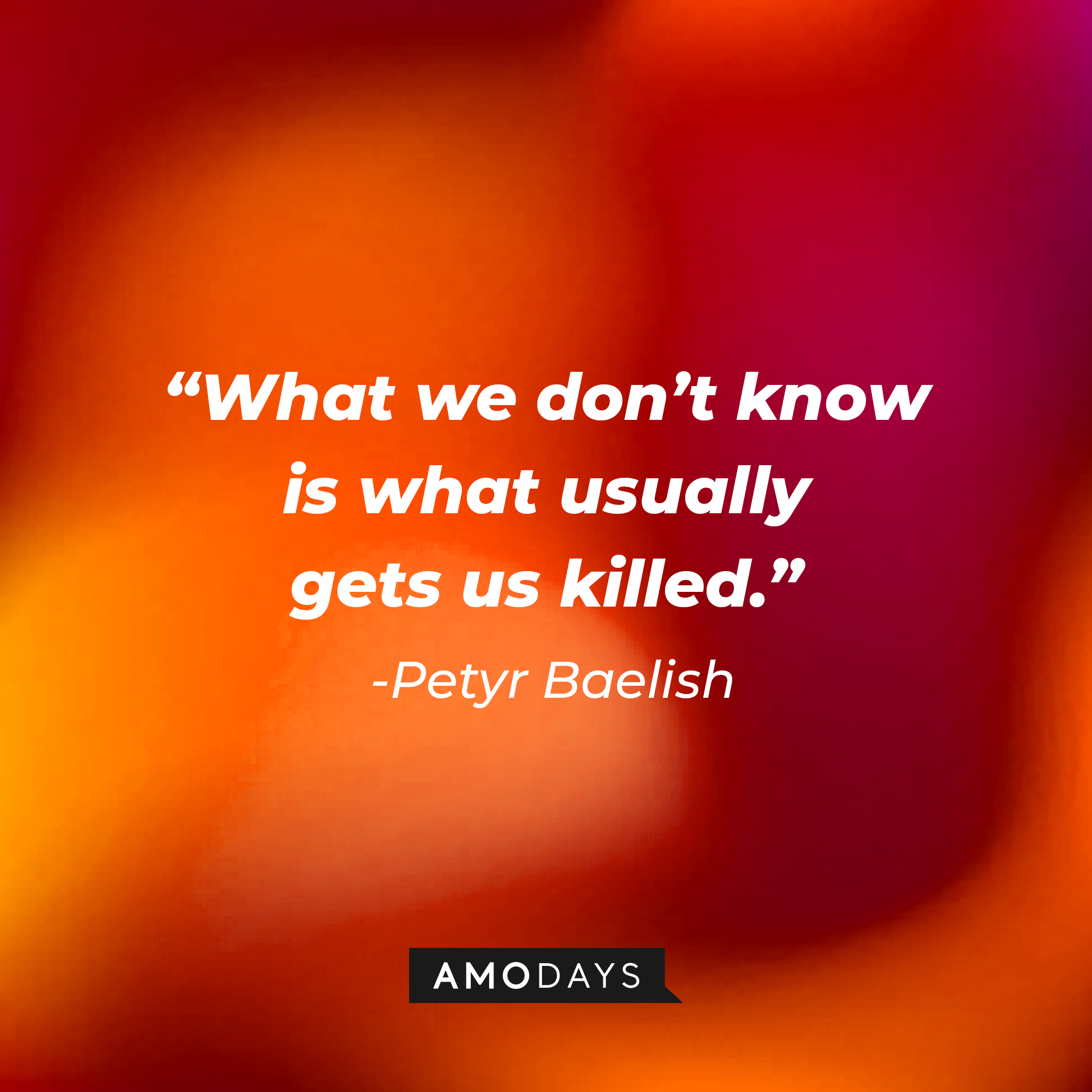 Petyr Baelish’s quote: “What we don’t know is what usually gets us killed.” | Source: AmoDays