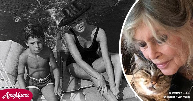 Qui A élevé Le Fils De Brigitte Bardot Quand Brigitte Bardot a déclaré à propos de son fils Nicolas: "Je m'en