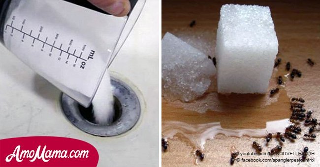 Everyone has salt in the house. 10 unusual ways to use it that'll save you a fortune