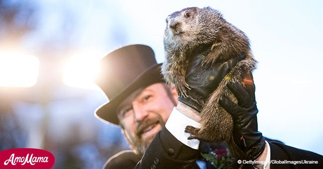 Famous Punxsutawney groundhog predicts spring will arrive earlier this year