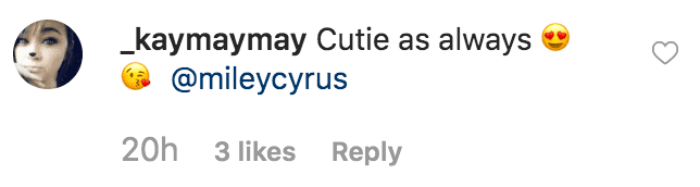 Fan gushing over how adorable Miley Cyrus looked she looked as young girl in her Halloween costume | Source: instagram.com/mileycyrus