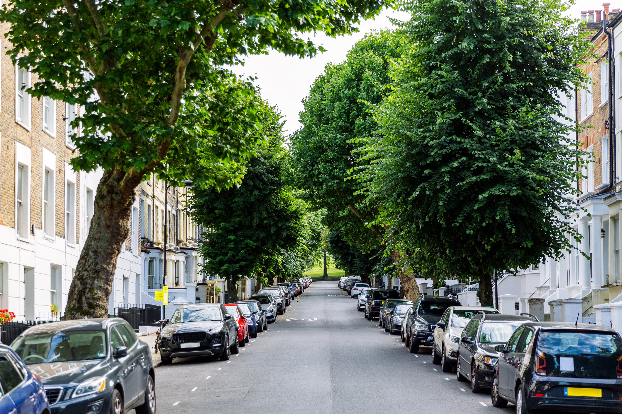 A picture of a street with trees and parked cars. | Photo: Getty Images