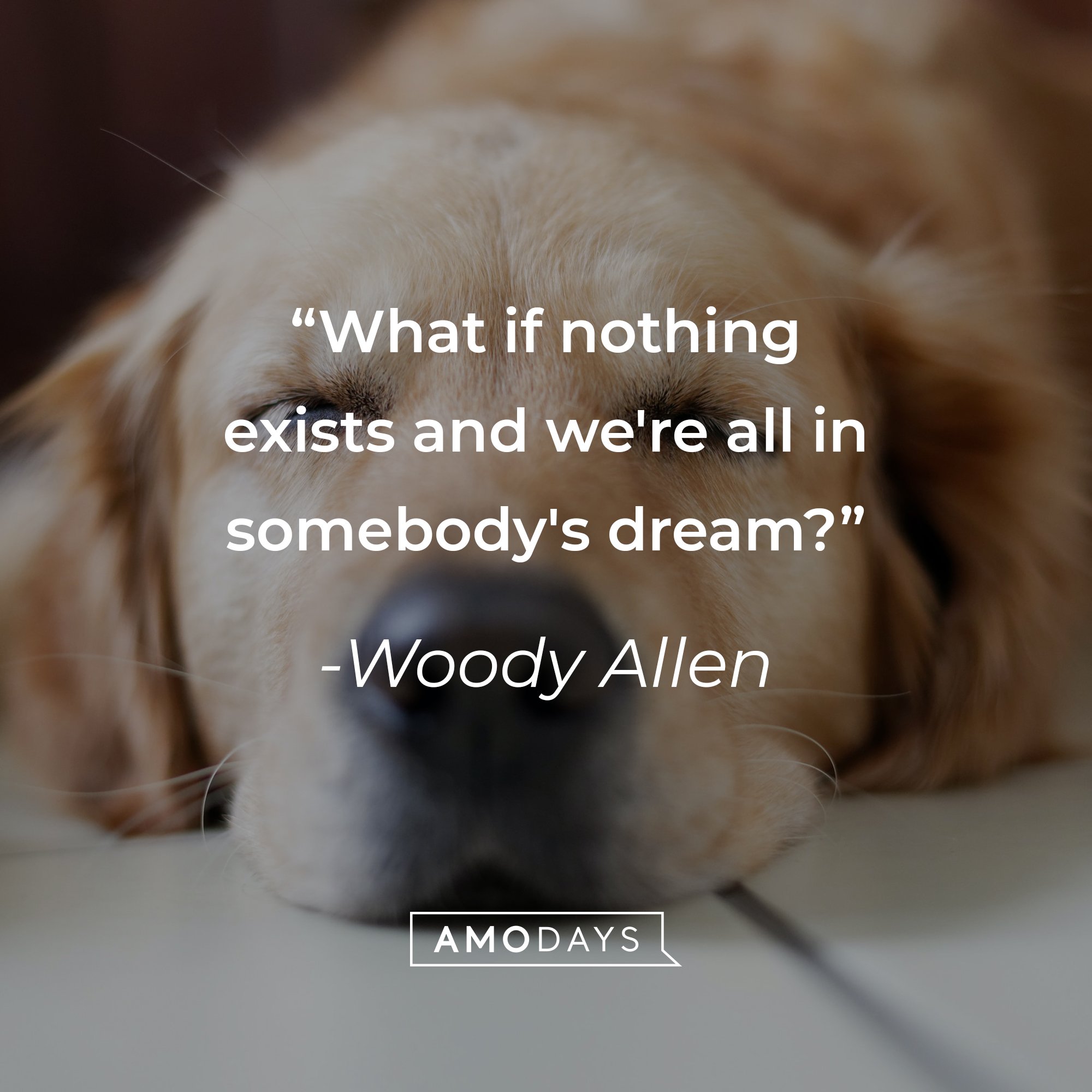 Woody Allen's quote: "What if nothing exists and we're all in somebody's dream?" | Image: AmoDays