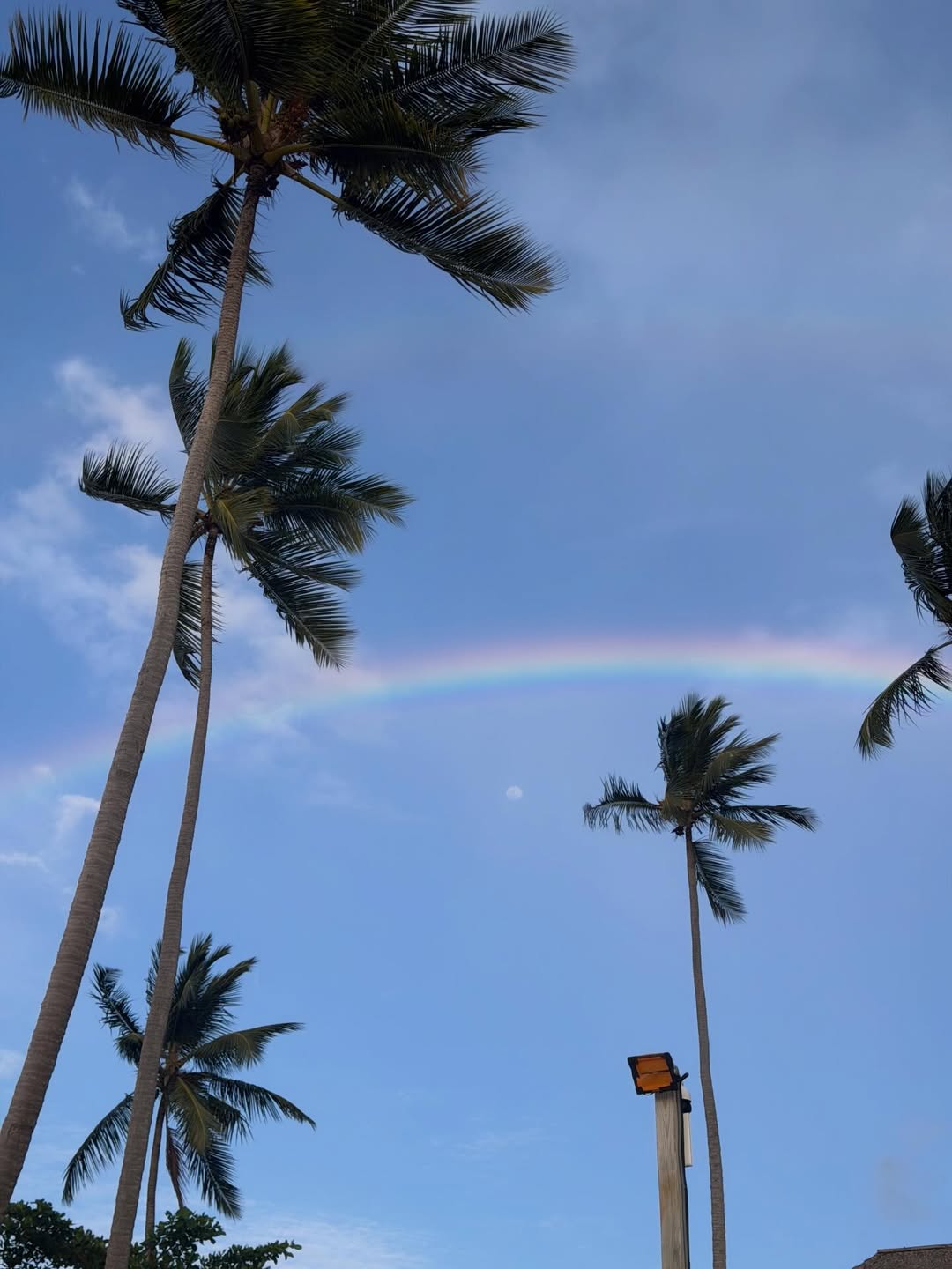 The view from Hilaria Baldwin's vacation | Source: Instagram/hilariabaldwin | alecbaldwininsta