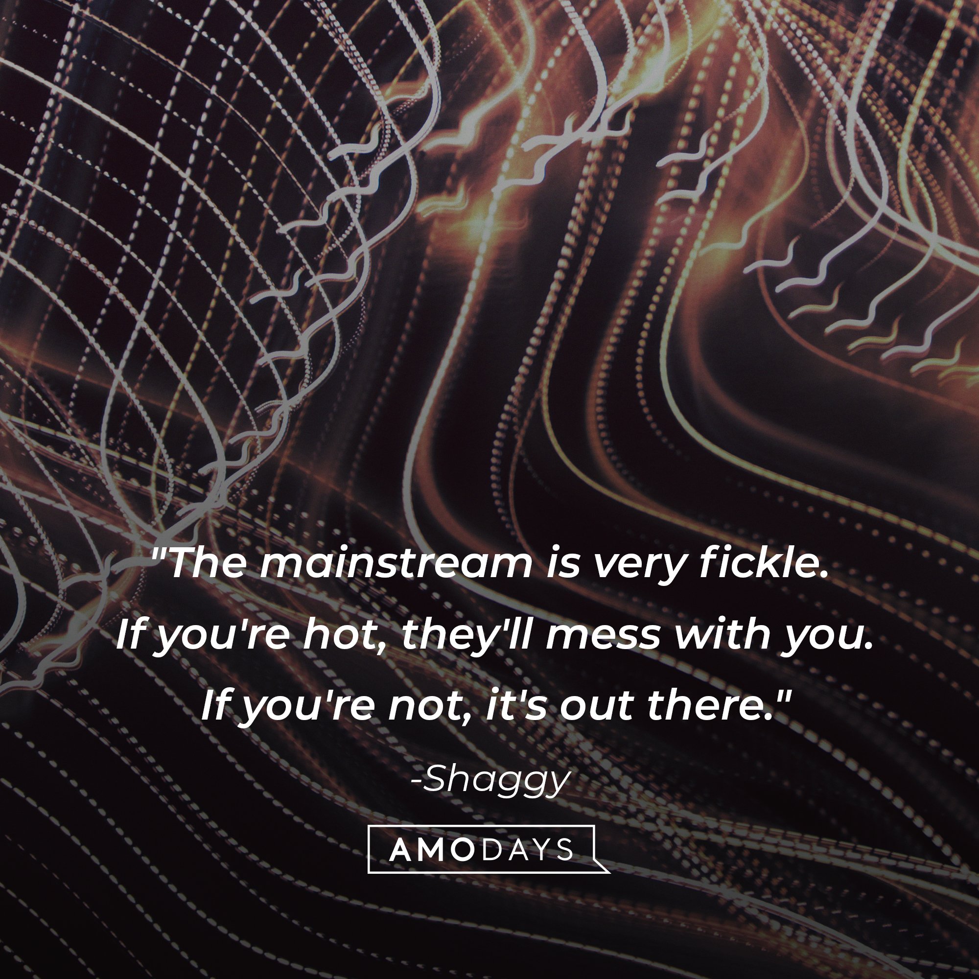Shaggy's quote: "The mainstream is very fickle. If you're hot, they'll mess with you. If you're not, it's out there." | Image: AmoDays