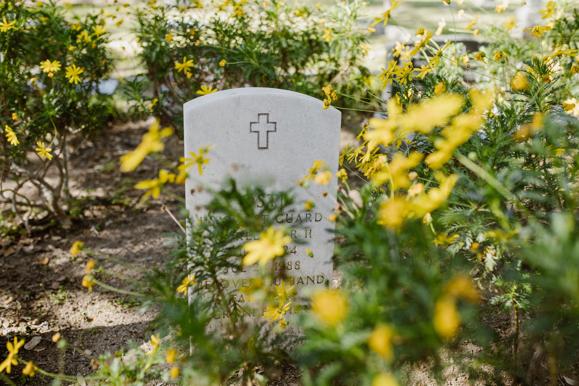 Tombstone surrounded by yellow flowers | Source: Pexels