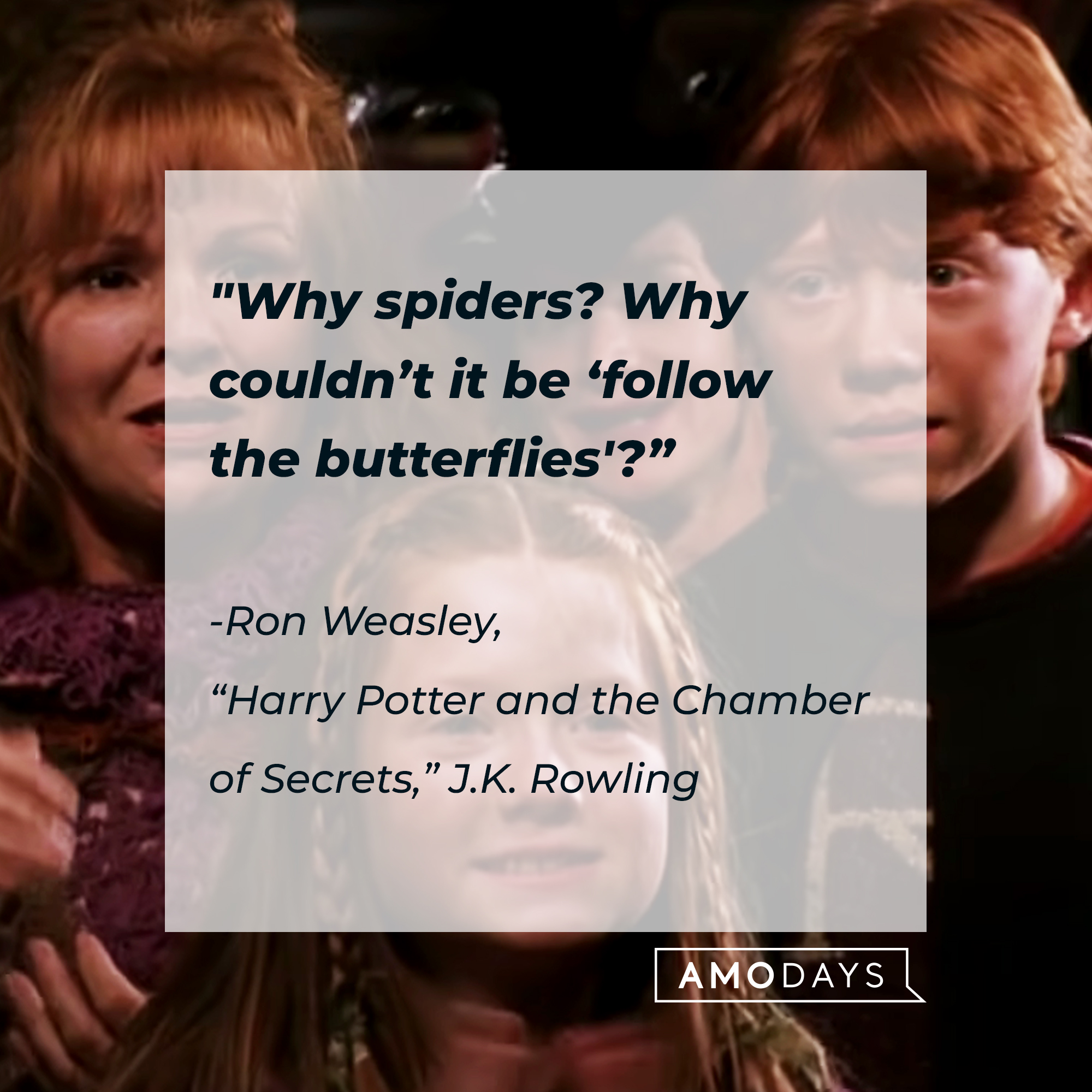 An image of Ron, Ginny and Molly Weasley with Ron’s quote: "Why spiders? Why couldn’t it be “follow the butterflies”?” | Source: Youtube.com/harrypotter