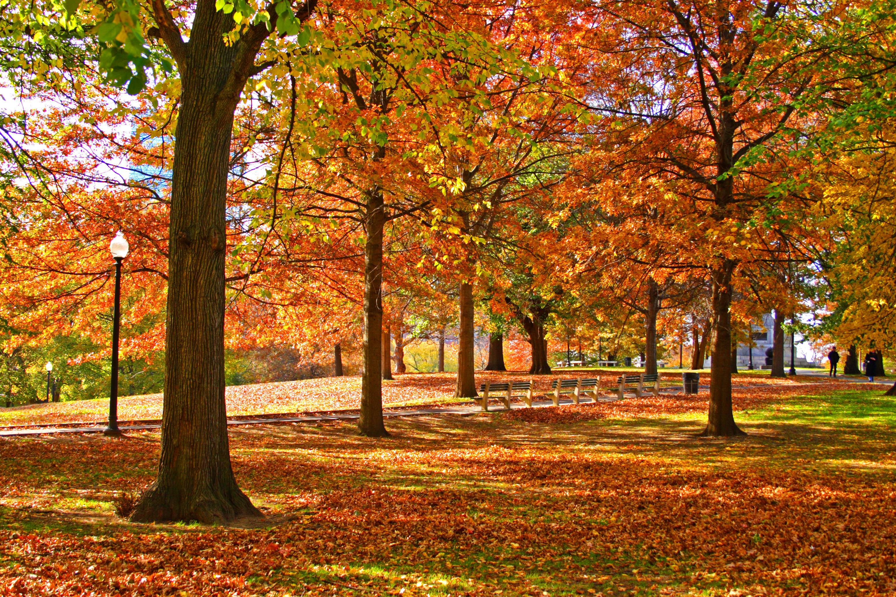 Autumn in Boston | Source: Shutterstock