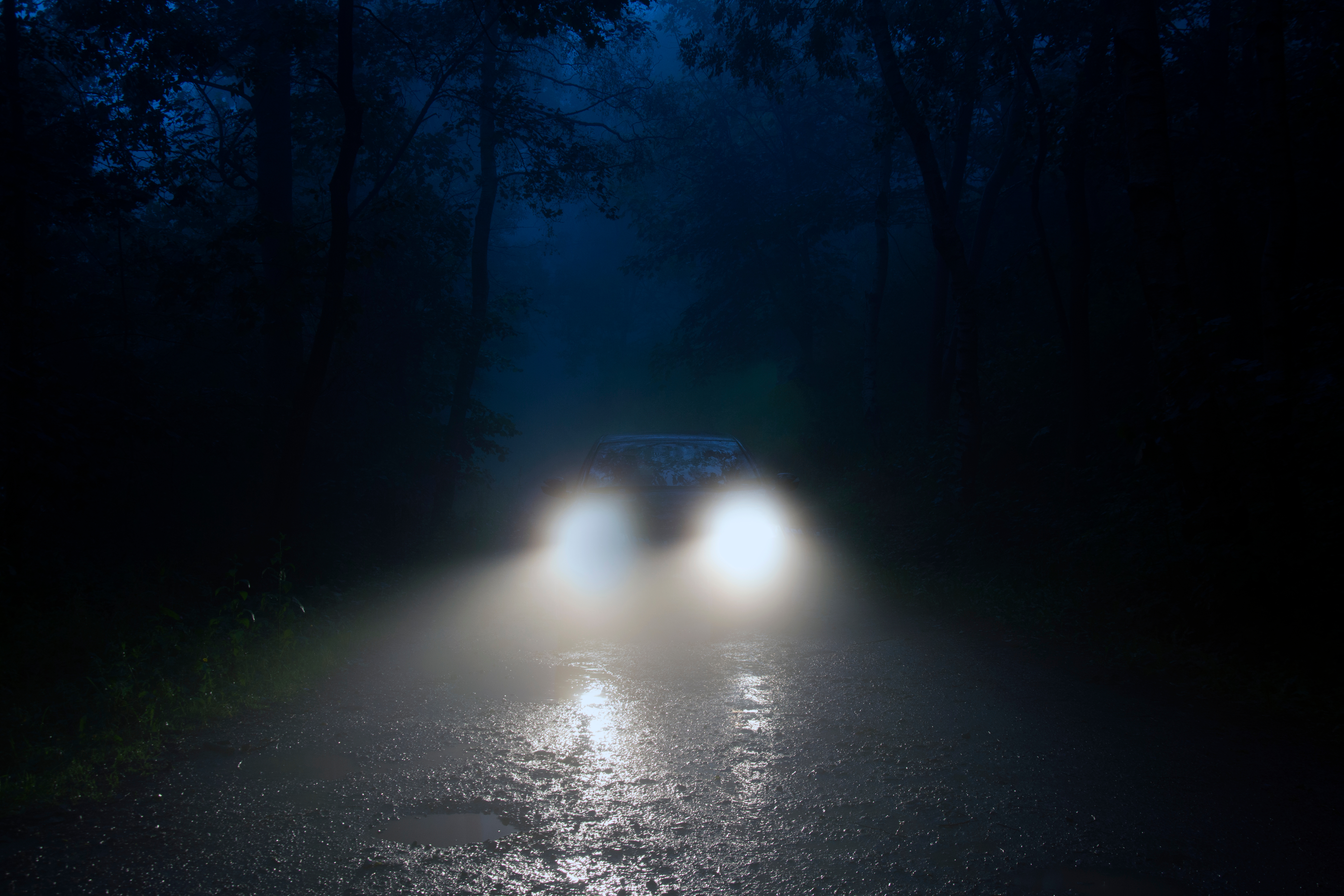 A spooky forest road with car headlights shining through the fog | Source: Shutterstock.com