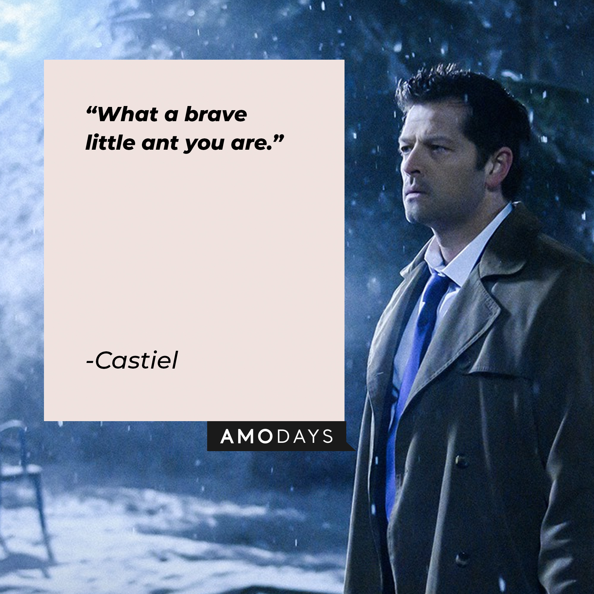 An image of Castiel with his quote: “What a brave little ant you are." |Source: facebook.com/Supernatural