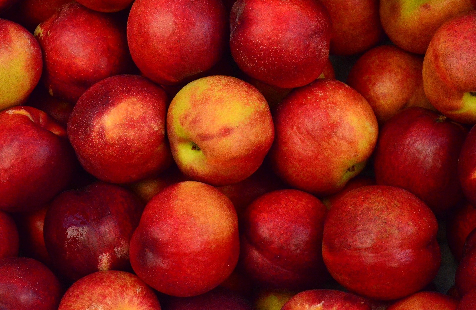 Pommes. | Photo : Getty Images